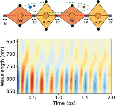 Coherent phonons and Charge–Lattice Interactions
