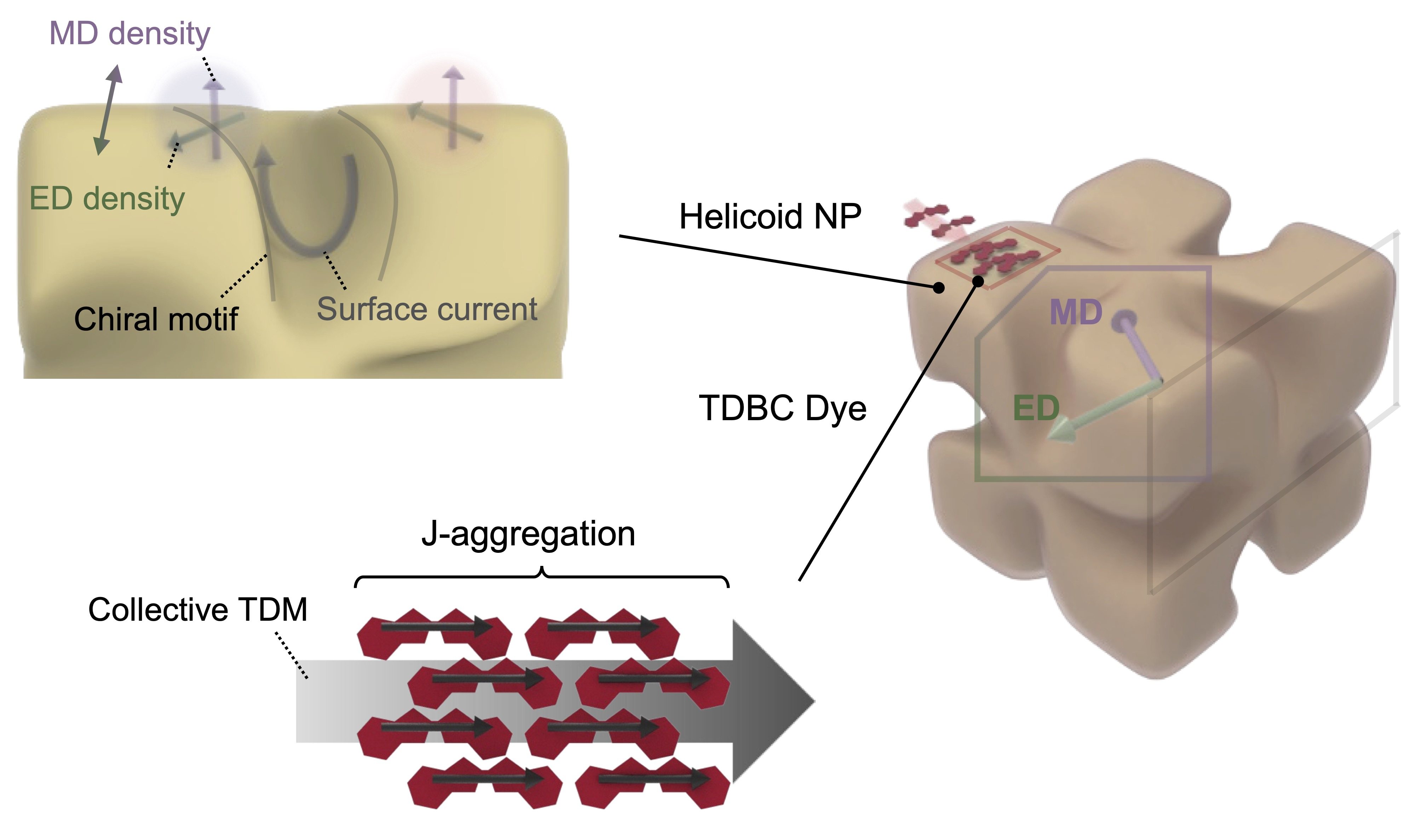 Chirality Transfer and Chiral Light-Matter Coupling